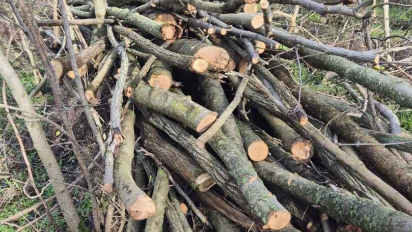 24ab40d02def134a9e329a1c1dda350c