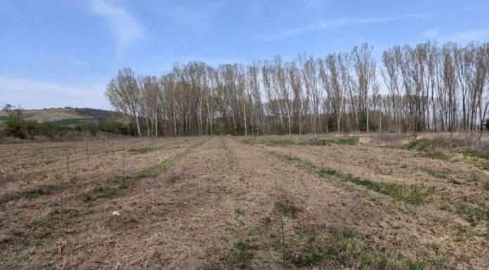 Solul Moldovei, în pericol — 30 % din terenuri agricole, afectate de eroziune