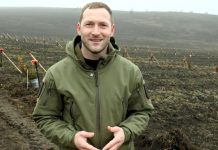 Inovație verde — Moldova lansează un hub de cercetare care va accelera reîmpăduririle