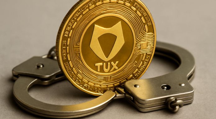 Zece persoane reținute în dosarul „TUX”. Doi foști angajați MAI, vizați în investigații