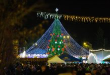 Bradul de Anul Nou, donat de Renato Usatîi, strălucește pentru al zecelea an consecutiv
