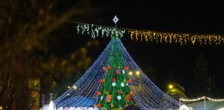 Bradul de Anul Nou, donat de Renato Usatîi, strălucește pentru al zecelea an consecutiv