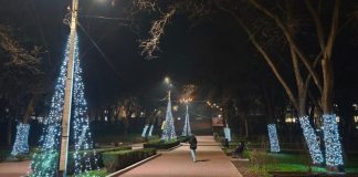 Tinerii care au distrus mai multe decorațiuni într-un parc din Bălți au fost identificați