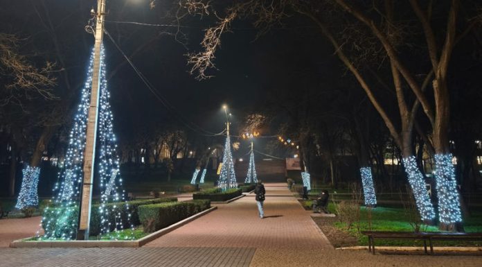 Tinerii care au distrus mai multe decorațiuni într-un parc din Bălți au fost identificați
