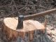 Nisporeni sub lupa autorităților: verificări după tăieri suspecte de arbori