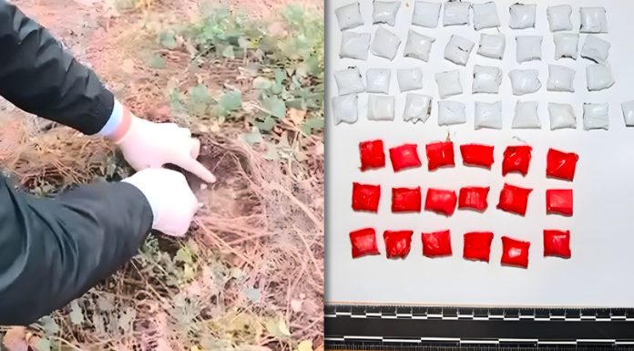 Doi tineri din Găgăuzia, prinși distribuind droguri periculoase: Riscă până la 15 ani de închisoare