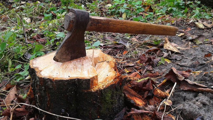 df52a1e46c107c80a1de1a87559c40d4