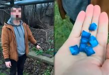 Droguri sub lupa poliției: Doi traficanți din Bălți, arestați preventiv!