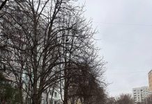 Lucrări ample de modernizare la Botanica: trotuare, parcări și curți de bloc în reabilitare