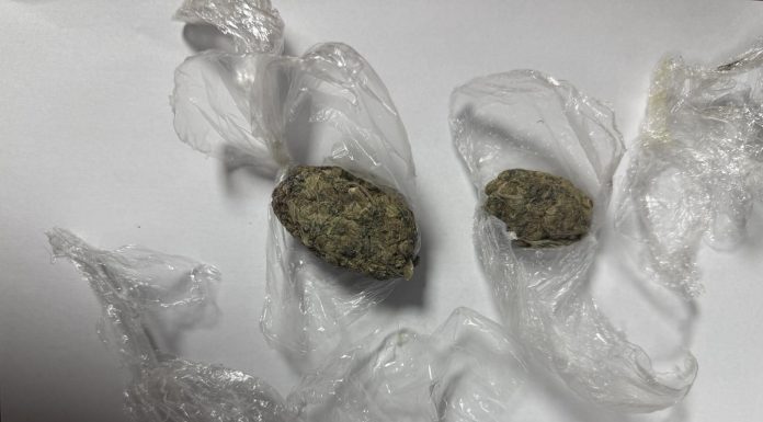 Substanță vegetală suspectă, depistată la intrarea în Republica Moldova