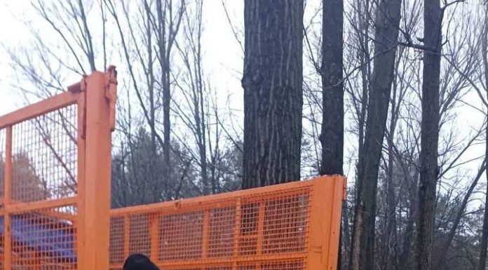 Chișinăul se pregătește de ninsoare: Unde găsesc cetățenii și șoferii material antiderapant pentru intervenție