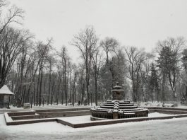 Ion Ceban acuză Guvernul de sabotaj: Reabilitarea Grădinii Publice „Ștefan cel Mare”, blocată de „pretenții scumpe”