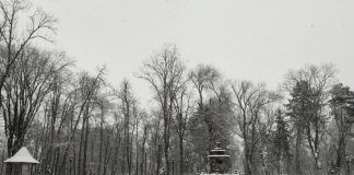 Ion Ceban acuză Guvernul de sabotaj: Reabilitarea Grădinii Publice „Ștefan cel Mare”, blocată de „pretenții scumpe”