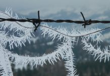 Energie electrică restabilită după chiciura de pe 15-16 februarie: autoritățile avertizează despre noi fenomene meteorologice