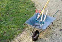 Ion Ceban salută implicarea elevilor în acțiuni de salubrizare a spațiilor din jurul școlilor