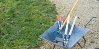 Ion Ceban salută implicarea elevilor în acțiuni de salubrizare a spațiilor din jurul școlilor