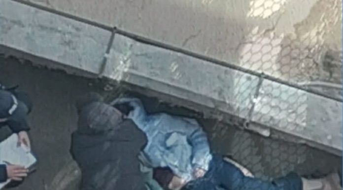 Suspiciuni de omor în cazul Ludmilei Vartic: Analiză publică contestă versiunea oficială