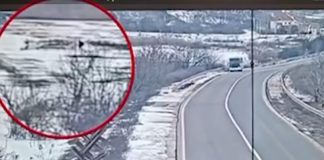 Cetățean ucrainean prins încercând să treacă ilegal frontiera în zona Palanca