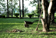 Provocare pentru școli: premii de până la 10.000 lei pentru implicare civică