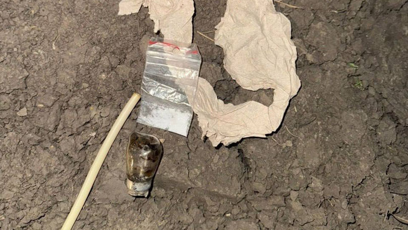 e1703bc229c337de362108af9ec28fab