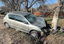 Accident în Stânga Nistrului: trei persoane rănite după ce un autoturism a intrat într-un copac