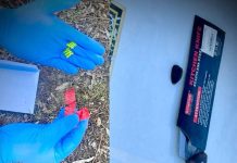 Patrulări intensive în Chișinău și Durlești: mai mulți tineri prinși cu droguri