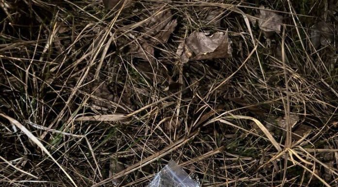 Anchete în desfășurare la Ungheni: polițiștii au depistat mai mulți consumatori de droguri