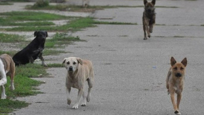 5061c90ae98a6d62d1a396fef58fb630