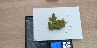 Substanță suspectă depistată la frontieră: șofer român documentat de autorități