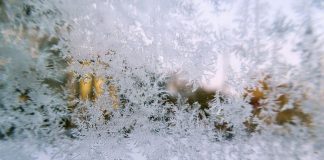 Cod Galben de înghețuri în Republica Moldova: temperaturi de până la -3°C în următoarele zile