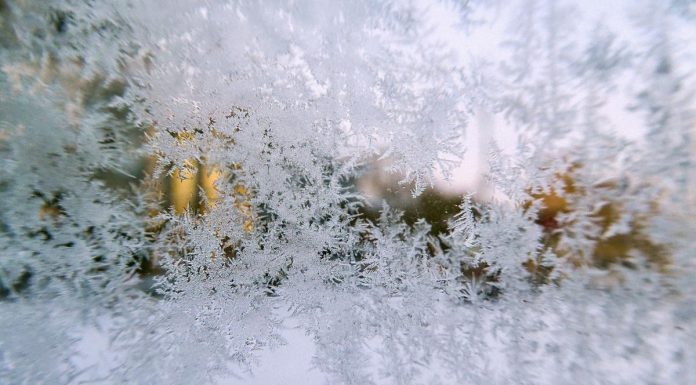 Cod Galben de înghețuri în Republica Moldova: temperaturi de până la -3°C în următoarele zile