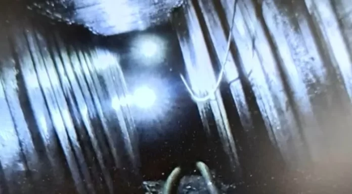 Poliția spaniolă anihilează o rețea subterană de trafic de droguri între continente