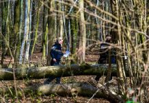 Dramă de Paște în Germania: Trei morți la o vânătoare de ouă