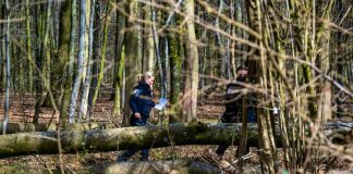 Dramă de Paște în Germania: Trei morți la o vânătoare de ouă