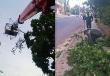 Furtuna a făcut ravagii în Moldova: Copaci doborâți și localități rămase fără curent electric