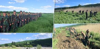 Militarii Armatei Naționale au încheiat intervenția de la Bularda: Au fost luate măsuri pentru prevenirea inundațiilor