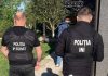 Operațiune a poliției în Edineț, Ocnița și Dondușeni: arme, bani și lemn confiscate în ancheta privind tăieri ilegale din păduri