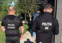 Operațiune a poliției în Edineț, Ocnița și Dondușeni: arme, bani și lemn confiscate în ancheta privind tăieri ilegale din păduri