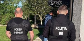 Operațiune a poliției în Edineț, Ocnița și Dondușeni: arme, bani și lemn confiscate în ancheta privind tăieri ilegale din păduri