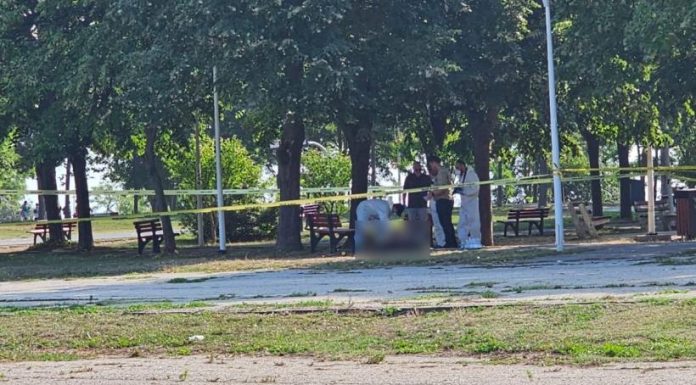Ceban respinge acuzațiile și cere clarificări în cazul decesului din parc