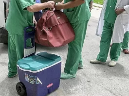 Avion întors la terminal în ultimul moment după ce un organ pentru transplant nu a fost încărcat la bord