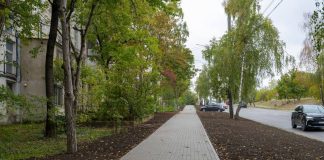 Percheziții la Vadul lui Vodă: poliția a găsit un laborator de cultivare a marijuanei