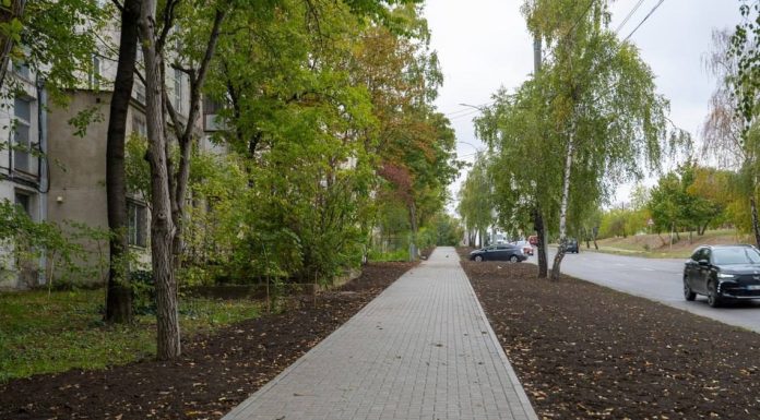 Percheziții la Vadul lui Vodă: poliția a găsit un laborator de cultivare a marijuanei