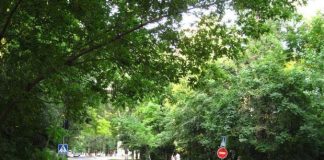 Strada Nicolae Dimo din sectorul Rîșcani intră în reparație cu tehnologie modernă
