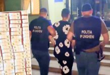 Doi tineri reținuți la Ungheni într-un caz de escrocherie cu investiții online; prejudiciu de peste 436.000 lei