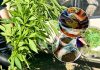 Descoperire în cadrul unei operațiuni antidrog: aproximativ 600 de plante suspecte și canabis uscat, găsite la Orhei