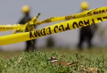 Tragedie șocantă în Los Angeles: un tată și-a ucis gemenii de 10 ani apoi s-a sinucis