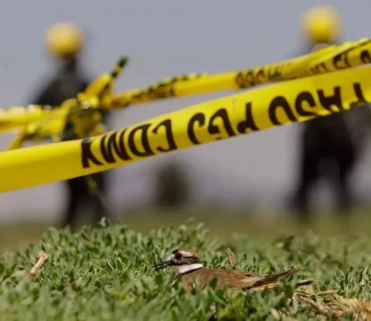 Tragedie șocantă în Los Angeles: un tată și-a ucis gemenii de 10 ani apoi s-a sinucis
