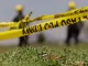 Tragedie șocantă în Los Angeles: un tată și-a ucis gemenii de 10 ani apoi s-a sinucis