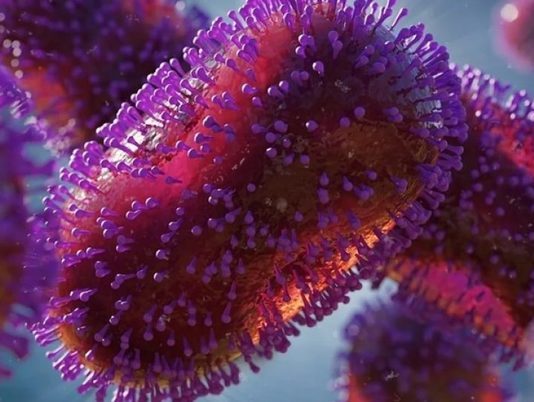Doi virologi care lucrează într-un laborator de maximă securitate din SUA, puși sub acuzare pentru transport de virus mpox din Africa